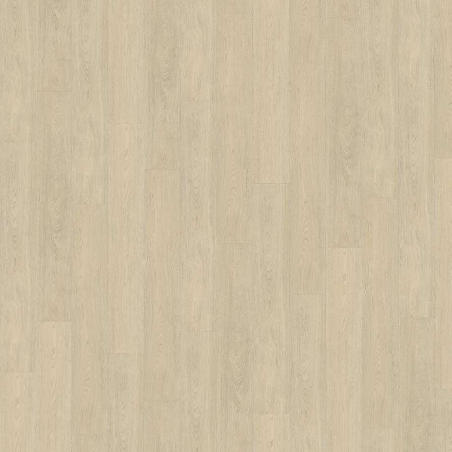 Belakos Terreno 620 | Rigid Click