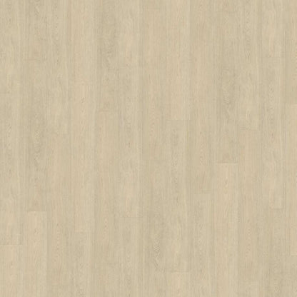 Belakos Terreno 620 | Rigid Click