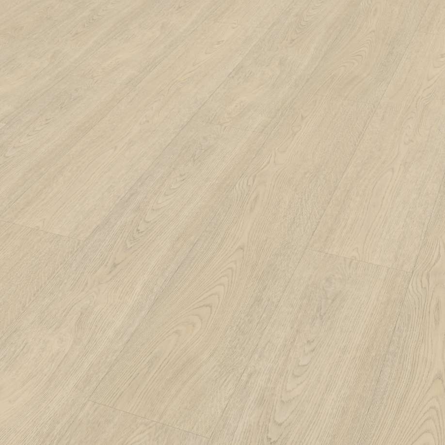 Belakos Terreno 620 | Rigid Click