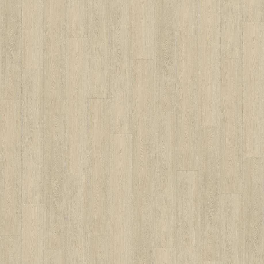 Belakos Terreno 620 | Rigid Click