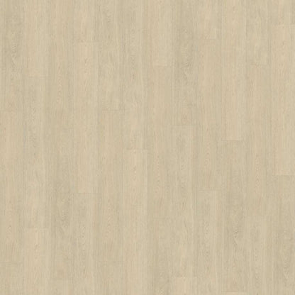 Belakos Terreno 620 | Rigid Click