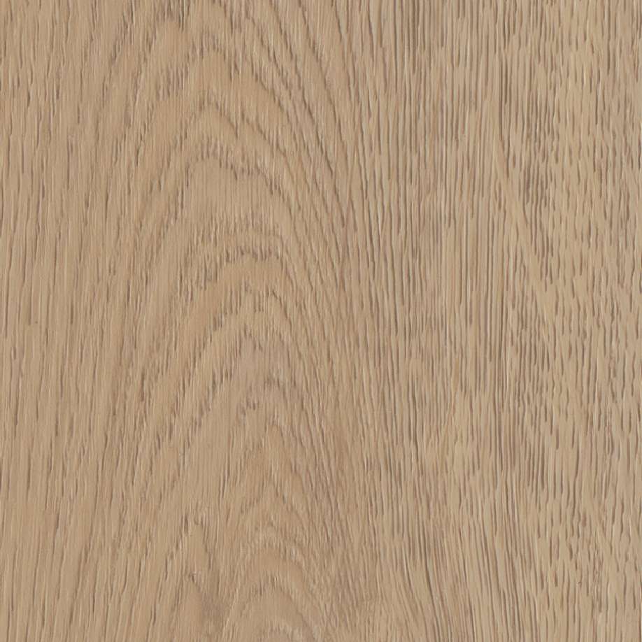 Belakos Terreno visgraat XL 61