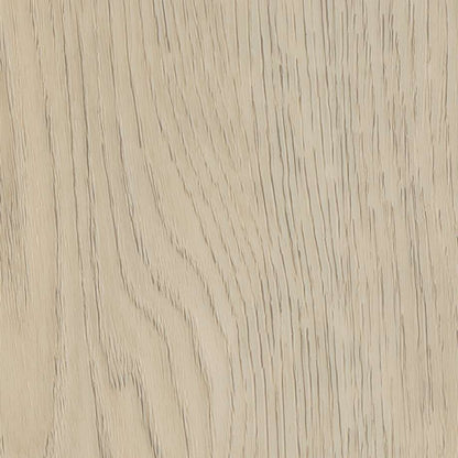 Belakos Terreno visgraat XL 62 | Rigid Click