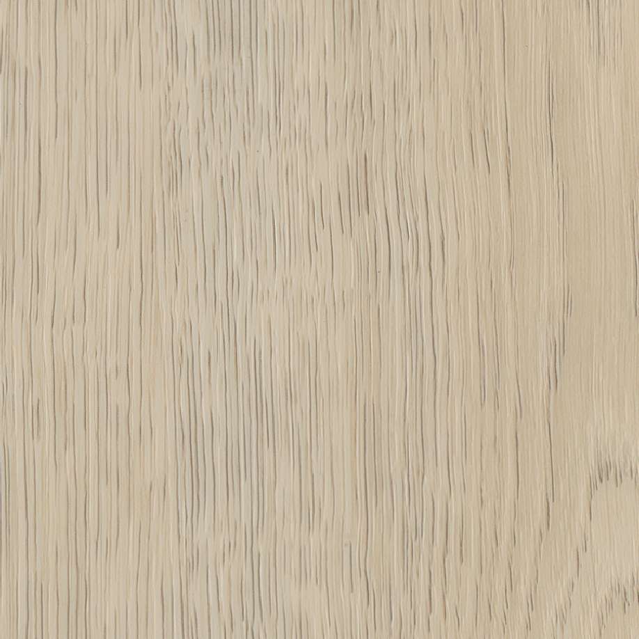 Belakos Terreno visgraat XL 62 | Rigid Click