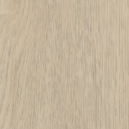 Belakos Terreno visgraat XL 62 | Rigid Click