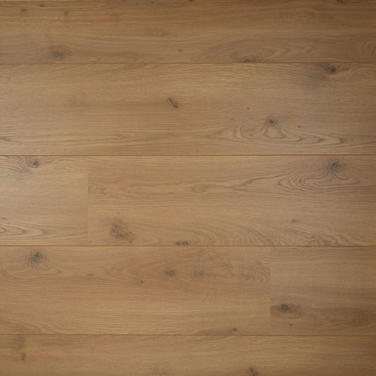 DD Brede plank Peterselie - 24,3 cm, 2V