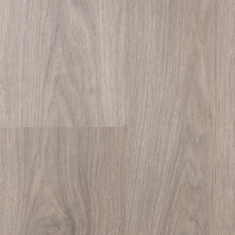 OTIUM Spice grey oil
